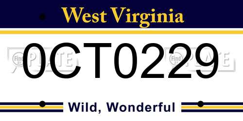 0CT0229 West Virginia License Plate