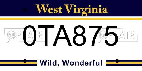 0TA875 West Virginia License Plate