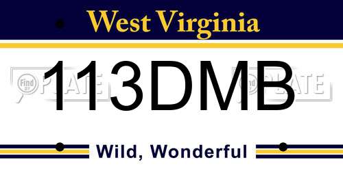 113DMB West Virginia License Plate