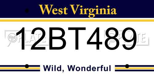 12BT489 West Virginia License Plate