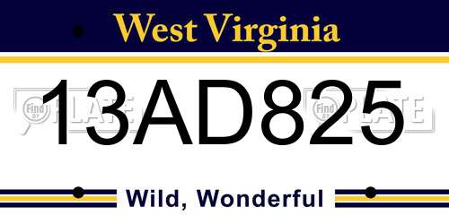 13AD825 West Virginia License Plate