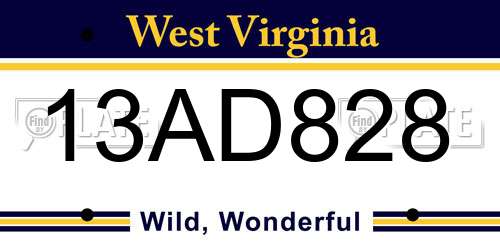 13AD828 West Virginia License Plate