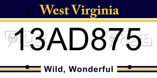 13AD875 West Virginia License Plate