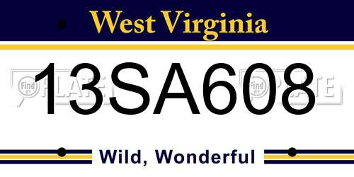 13SA608 West Virginia License Plate