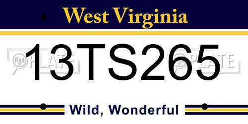 13TS265 West Virginia License Plate