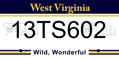 13TS602 West Virginia License Plate