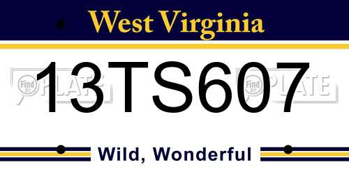 13TS607 West Virginia License Plate