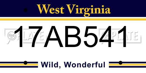 17AB541 West Virginia License Plate