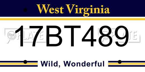 17BT489 West Virginia License Plate