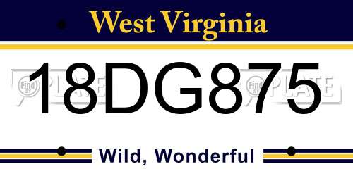 18DG875 West Virginia License Plate