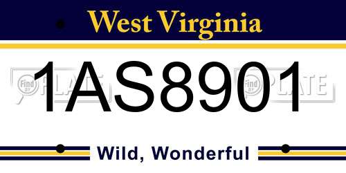 1AS8901 West Virginia License Plate