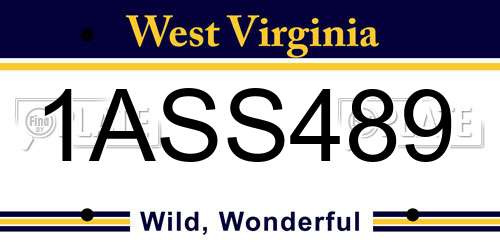 1ASS489 West Virginia License Plate