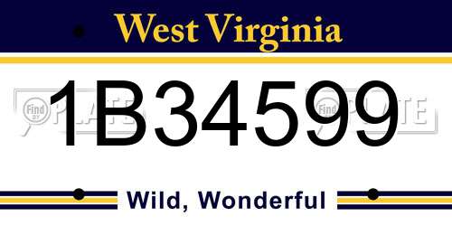1B34599 West Virginia License Plate