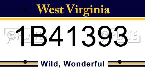 1B41393 West Virginia License Plate
