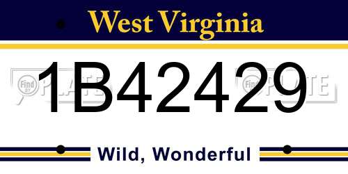 1B42429 West Virginia License Plate