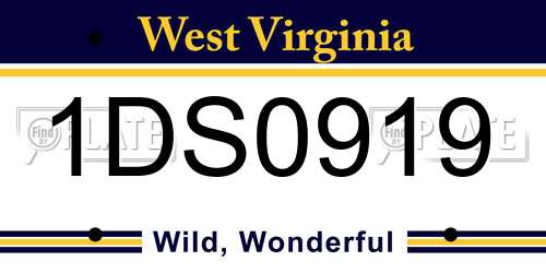 1DS0919 West Virginia License Plate
