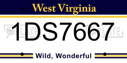 1DS7667 West Virginia License Plate