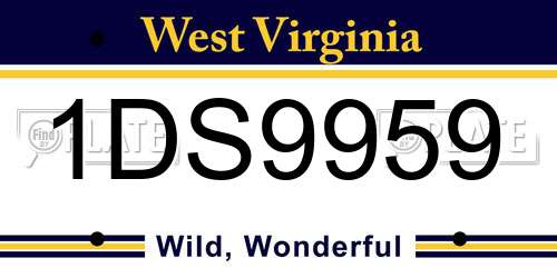 1DS9959 West Virginia License Plate