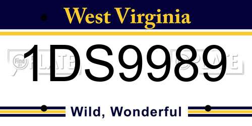 1DS9989 West Virginia License Plate