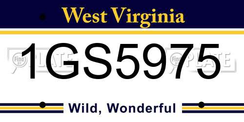 1GS5975 West Virginia License Plate