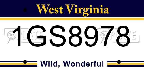 1GS8978 West Virginia License Plate