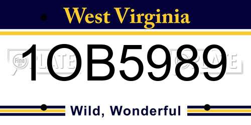 1OB5989 West Virginia License Plate