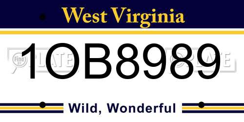 1OB8989 West Virginia License Plate