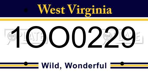 1OO0229 West Virginia License Plate