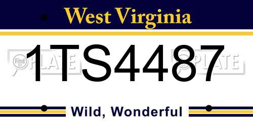 1TS4487 West Virginia License Plate