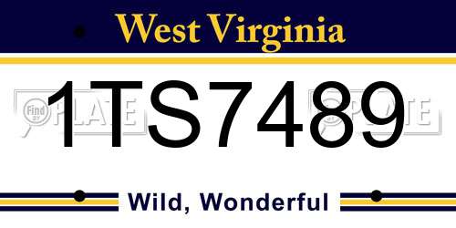 1TS7489 West Virginia License Plate