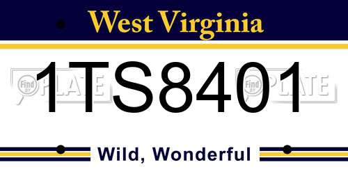 1TS8401 West Virginia License Plate