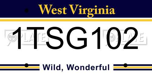 1TSG102 West Virginia License Plate