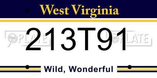 213T91 West Virginia License Plate