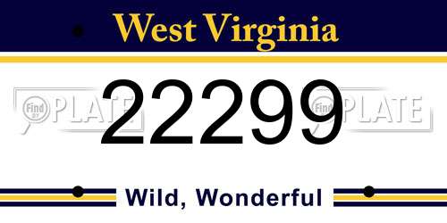 22299 West Virginia License Plate