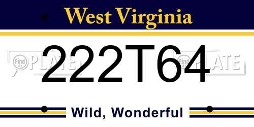222T64 West Virginia License Plate