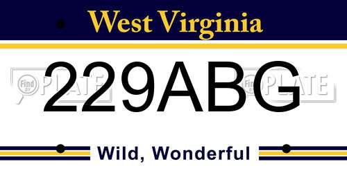 229ABG West Virginia License Plate