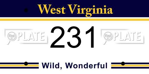 231 West Virginia License Plate
