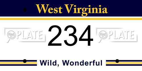 234 West Virginia License Plate