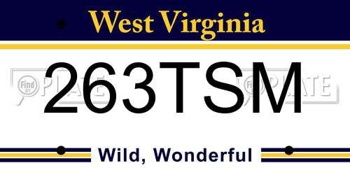 263TSM West Virginia License Plate