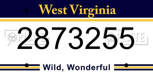 2873255 West Virginia License Plate