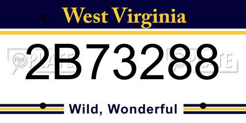 2B73288 West Virginia License Plate