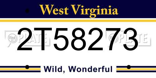 2T58273 West Virginia License Plate