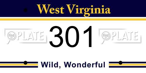 301 West Virginia License Plate