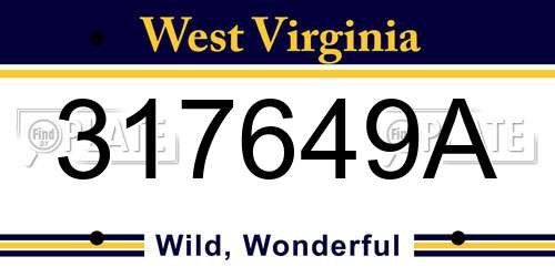 317649A West Virginia License Plate