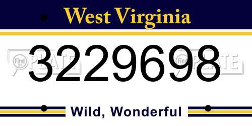 3229698 West Virginia License Plate