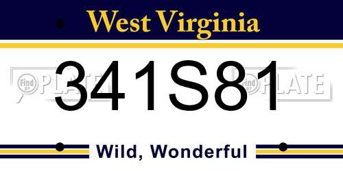 341S81 West Virginia License Plate