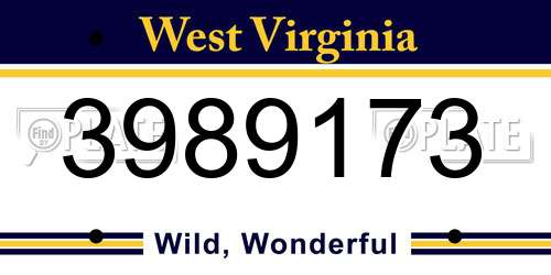 3989173 West Virginia License Plate