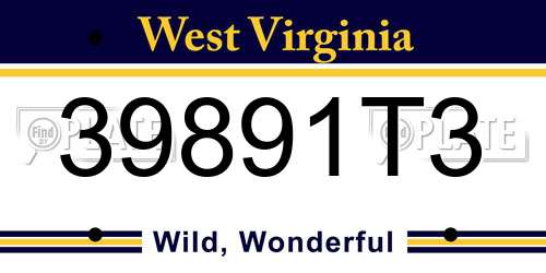 39891T3 West Virginia License Plate