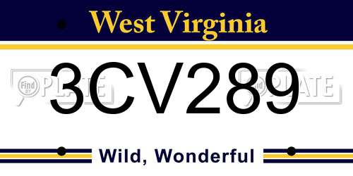 3CV289 West Virginia License Plate