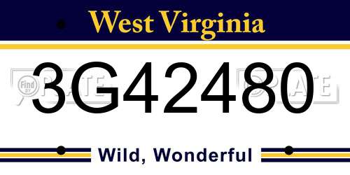 3G42480 West Virginia License Plate